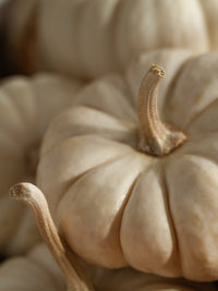 White Pumpkin